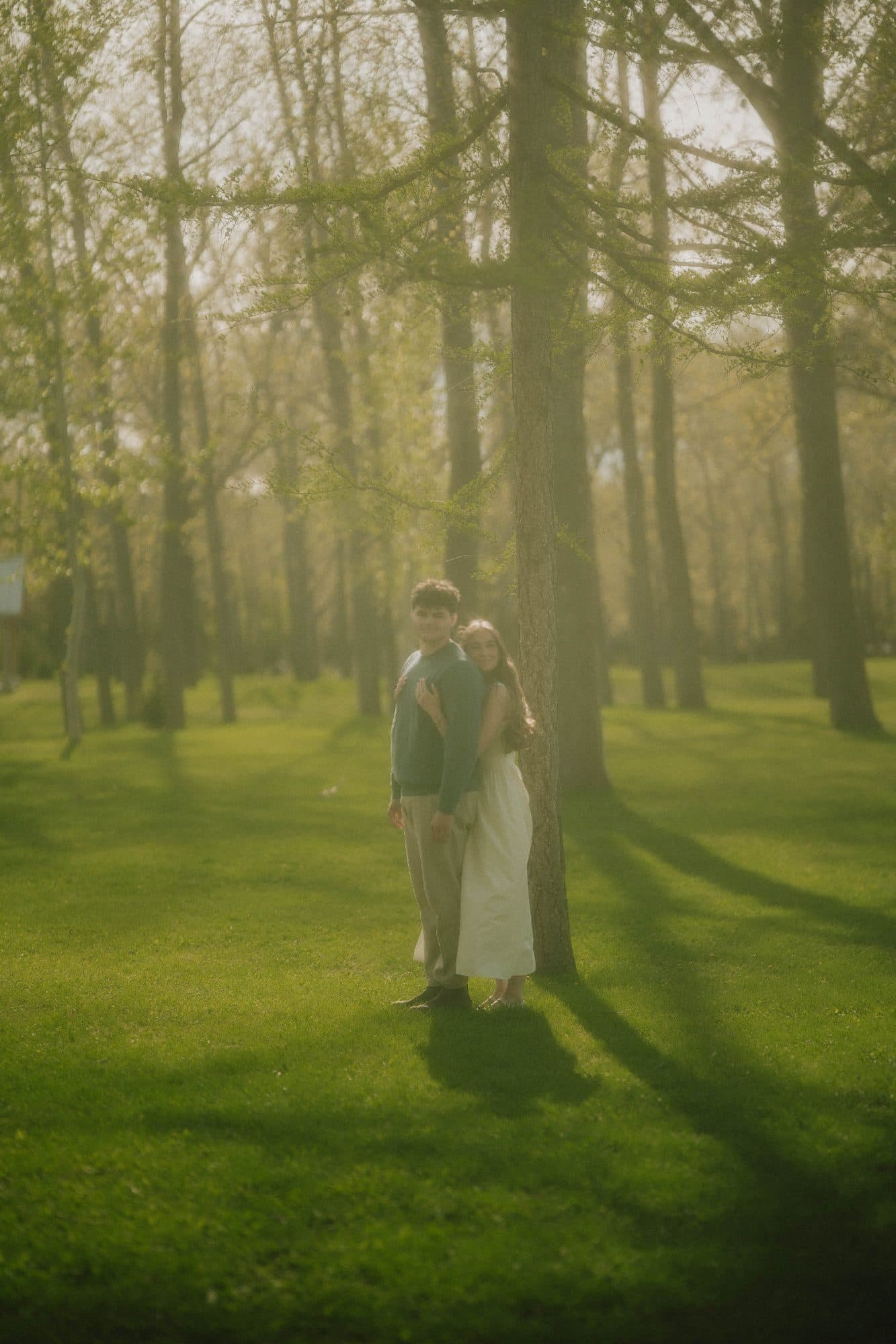 Walking the tree-lined path